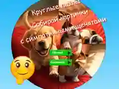Joc Puzzle rotund: adună imagini cu căței drăguți on-line