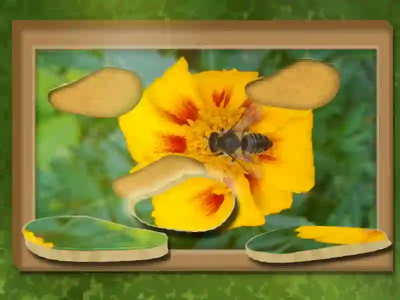 Joc Găsiți și restaurați: puzzle ascuns on-line