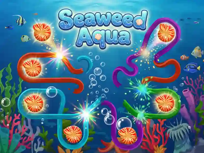 Joc Seaweed Aqua on-line