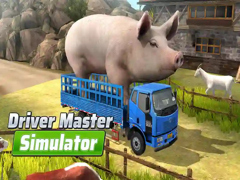 Joc Driver Master Simulator on-line