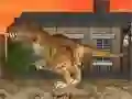 Joc LA Rex on-line