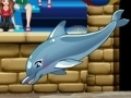 Joc Spectacolul meu de delfini 6 on-line