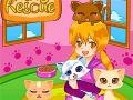 Joc Salvarea pisoiului Cutie on-line
