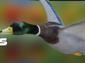 Joc Vânător de rațe: Pădure de toamnă on-line
