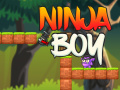 Joc Băiat Ninja on-line