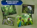 Joc Puzzle Pădure Tropicală on-line