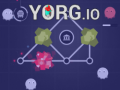 Joc Yorg.io on-line