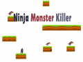 Joc Asasinul de Monstri Ninja on-line