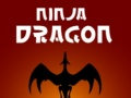 Joc Ninja Dragon on-line