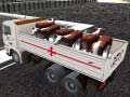 Joc Transportul animalelor domestice cu camionul on-line