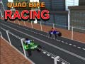 Joc Curse pe ATV-uri on-line