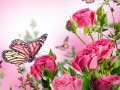 Joc Puzzle cu Fluturi on-line