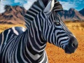 Joc Vânător de zebre on-line