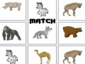 Joc Meci on-line