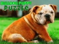 Joc Puzzle cu cățeluș bulldog on-line