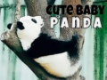 Joc Panda mic și drăguț on-line