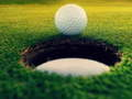 Joc Maeștri ai Golfului! on-line