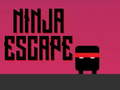Joc Evacuare Ninja on-line