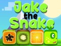 Joc Jake Șarpele on-line