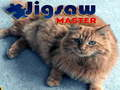 Joc Maestru de Puzzles on-line