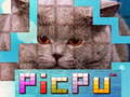 Joc PicPu Pisică on-line