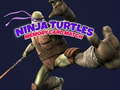 Joc Memoria Torturilor Ninja on-line