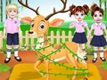 Joc Doctor de animale sălbatice Baby Taylor on-line