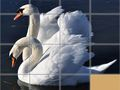 Joc Puzzle cu Animale Glisante on-line