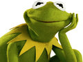Joc Carte de Colorat pentru Kermit Broasca on-line