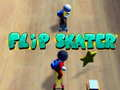 Joc Flip Skater on-line