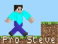 Joc Pro Steve on-line