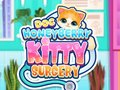 Joc Doctor HoneyBerry Chirurgia Pisicuței on-line