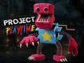 Joc Proiect Timp de Joc on-line