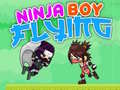 Joc Băiatul Ninja Zburător on-line