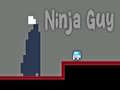 Joc Băiat Ninja on-line