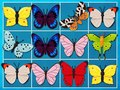 Joc Regele Mahjong-ului on-line