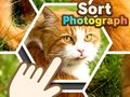 Joc Sortare fotografii on-line