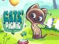Joc Picnic pentru pisici on-line