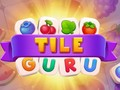 Joc Guru-ul Plăcilor on-line