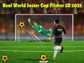 Joc Cupa Mondială de Fotbal Real Flicker 3D 2023 on-line