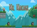 Joc Domnul Macagi on-line