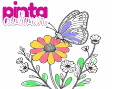 Joc Pinta Culoare on-line