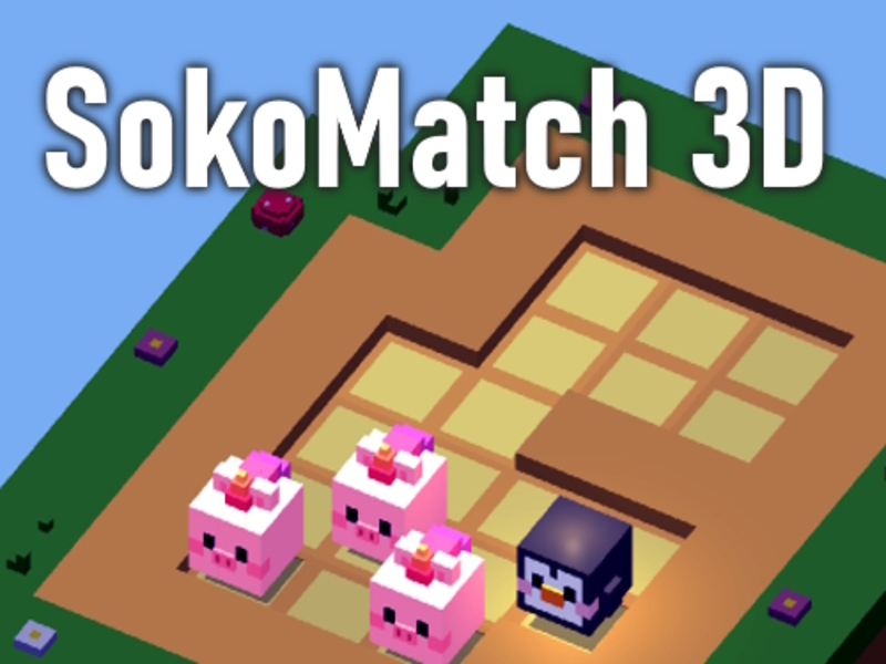Joc Sokomatch 3d on-line