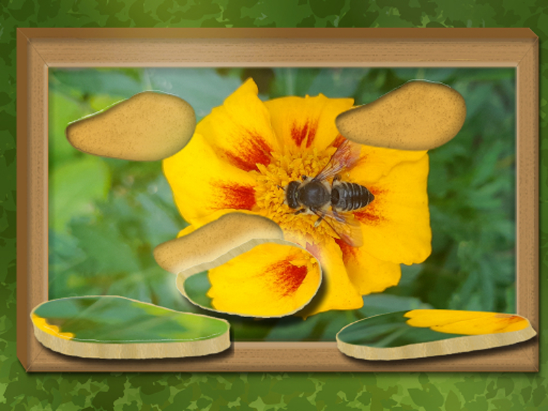Joc Găsiți și restaurați: puzzle ascuns on-line