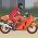Curse de motociclete Curse de motociclete online