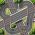 Curse pe circuit Curse pe circuit online