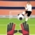 Portar  online